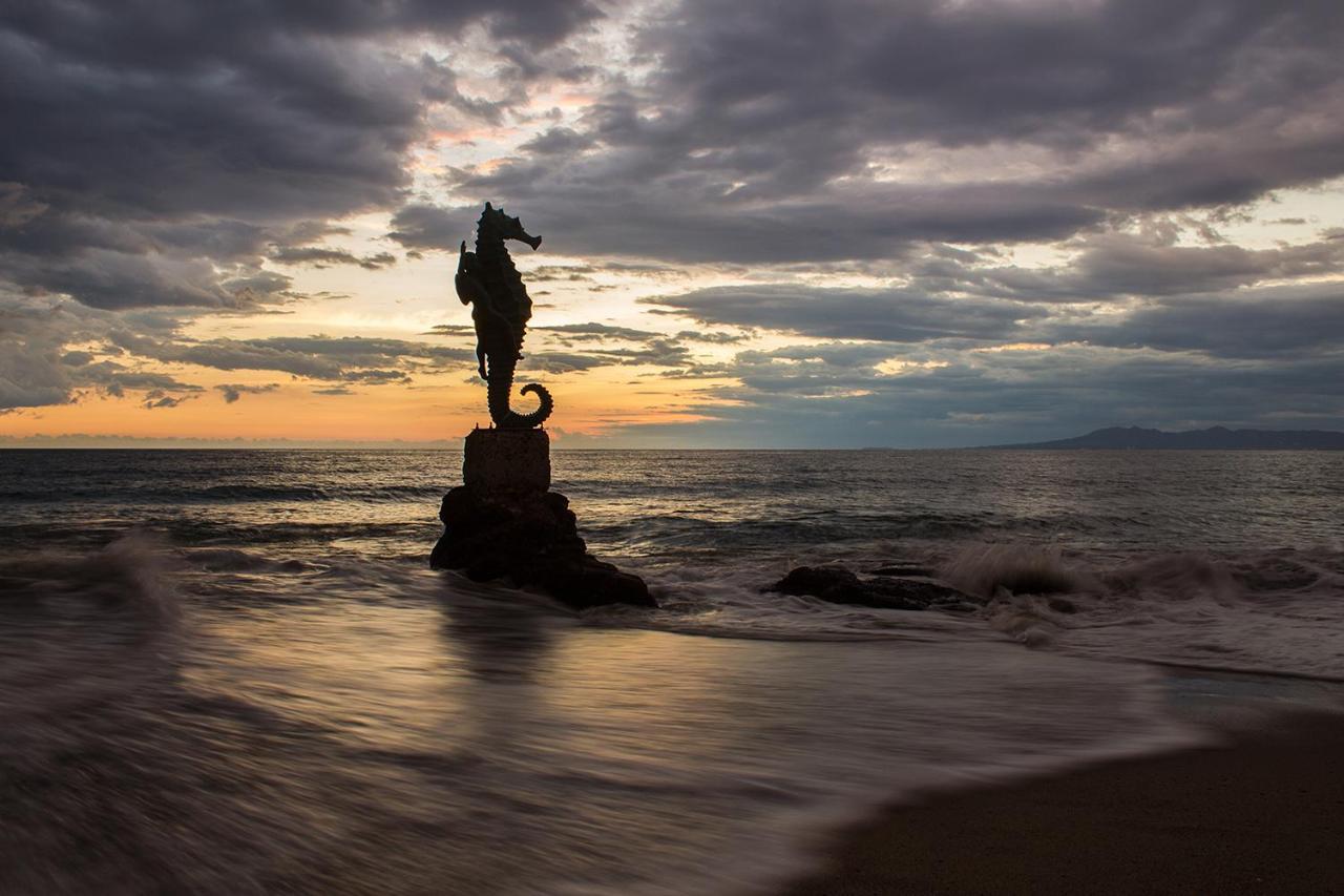 Departamento De Lujo, Puerto Vallarta. Mexico Eksteriør billede